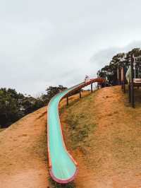 ⟪沖繩八重岳櫻之森公園⟫ 2月尾捉緊緋寒櫻的尾巴