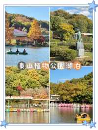 東山植物公園湖泊-多元化水上設施，悠閑享受自然美景