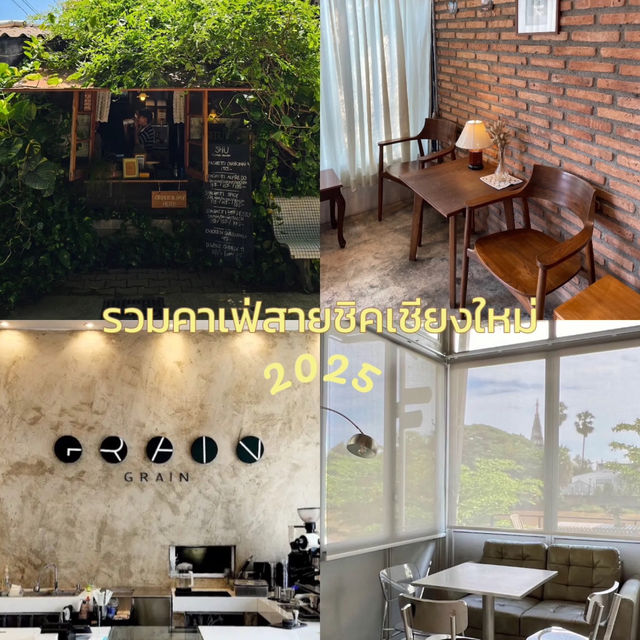 แนะนำคาเฟ่สายชิคที่ต้องไป 📸
