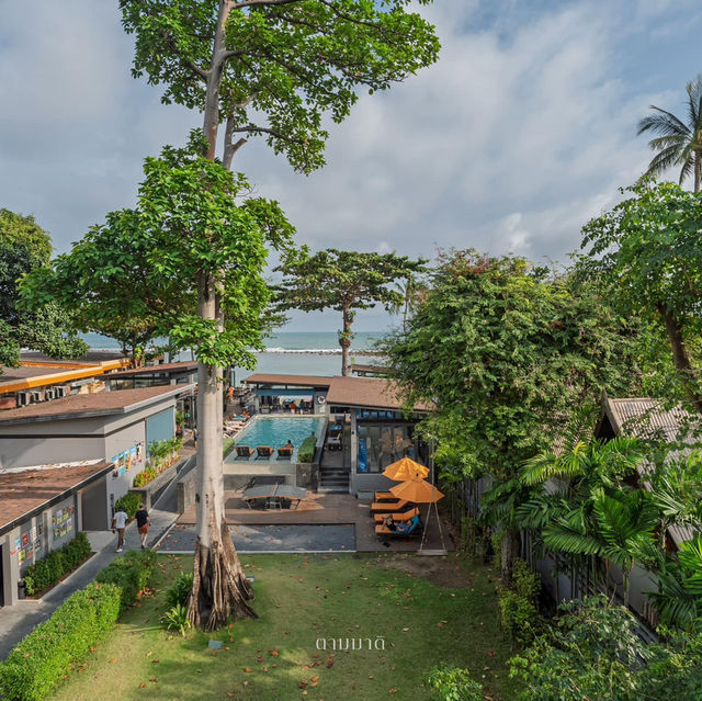 Lub d Koh Samui Chaweng Beach 🏖️