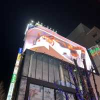 東京5日遊行程推介
