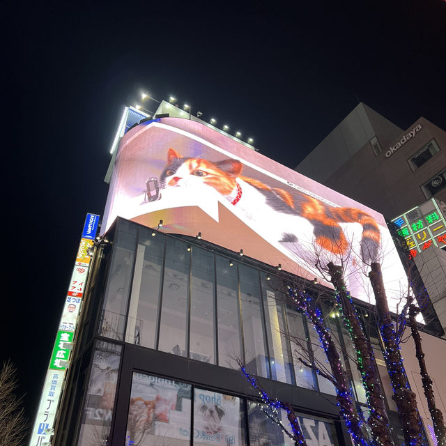 東京5日遊行程推介