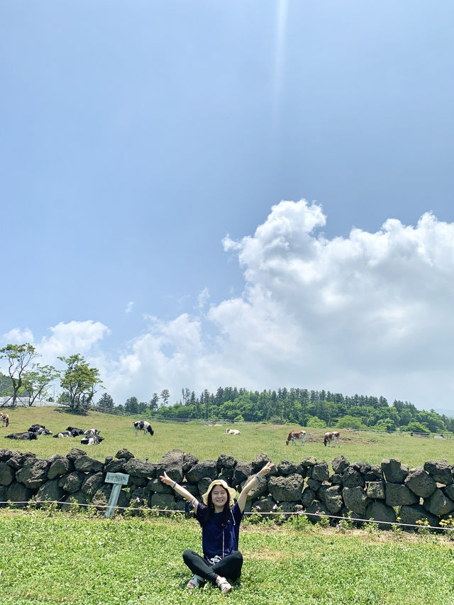 🐄제주 아침미소목장, 카이막이 있는 카페까지!