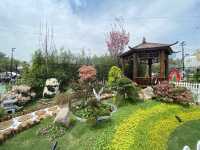 🌷香港2025超大花展又來啦🎀🌸