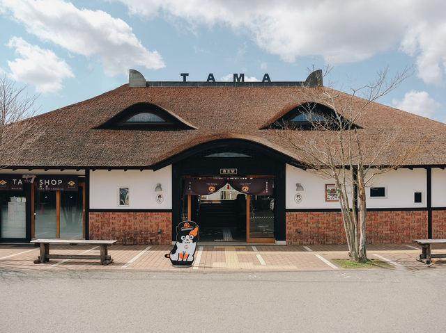 นั่งรถไฟน้องแมว เที่ยวเมือง Wakayama Kansai 