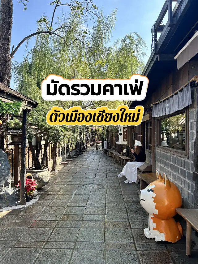 แชร์คาเฟ่ตัวเมืองเชียงใหม่ ห้ามพลาด🌟