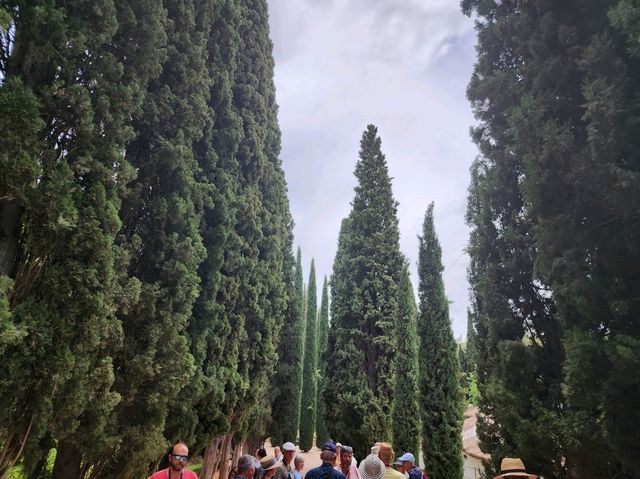 [🇪🇸グラナダ] アルハンブラ宮殿の楽園、ヘネラリーフェ庭園を歩く