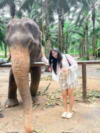 บ้านช้าง คาเฟ่กระบี่