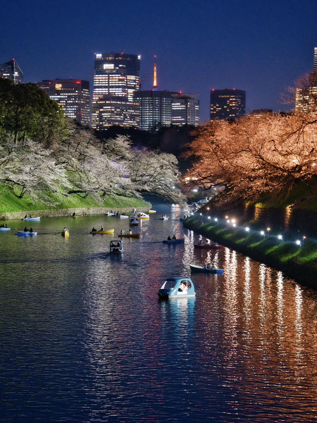 行かなきゃ損‼️夜のボートが1番混むよ！