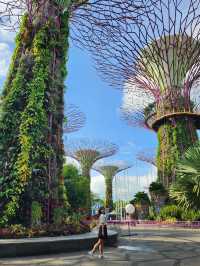 22 Hours in Singapore: Walking Non Stop🇸🇬