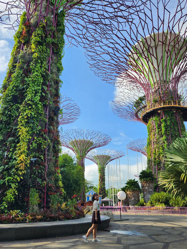 22 Hours in Singapore: Walking Non Stop🇸🇬