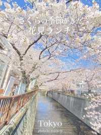 目黒川さくら巡りにおすすめなランチ【東京／中目黒】
