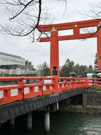 【京都×春旅】大鳥居と十石舟と桜のショットが撮れます