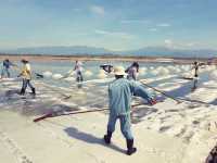Sustainable Travel at Ninh Hòa’s Salt Fields – A Lesson in Tradition and Preservation