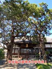 知多四国霊場巡り　第20番礼所　龍台院