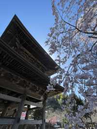 【神奈川】一日中楽しめる歴史の街・鎌倉