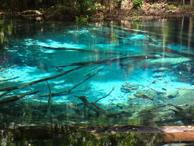emerald pool nice visitation 
