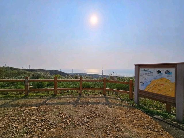 高美濕地賞落日，浪漫的金黃色海天一線