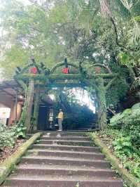 【陽明山国家公園｜大屯瀑布區】森の奥で、ただ水音に耳を澄ます
