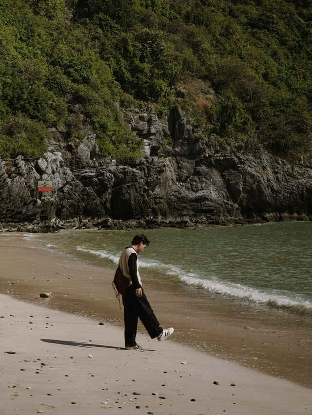 A Cozy Winter Getaway at Flamingo Cat Ba Resort