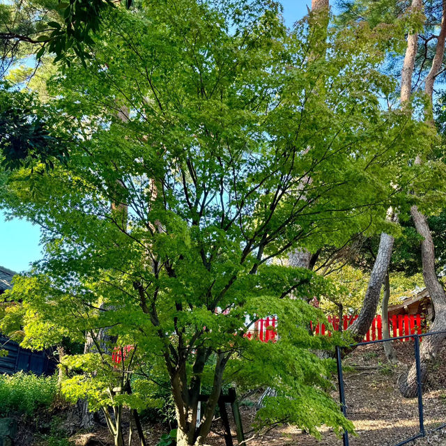 妙法寺｜朱紅色的靜謐
