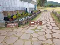보름왓