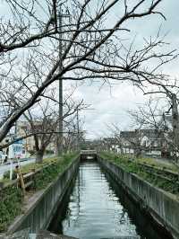 米子｜境港｜駅前公園｜拍照打卡好去處