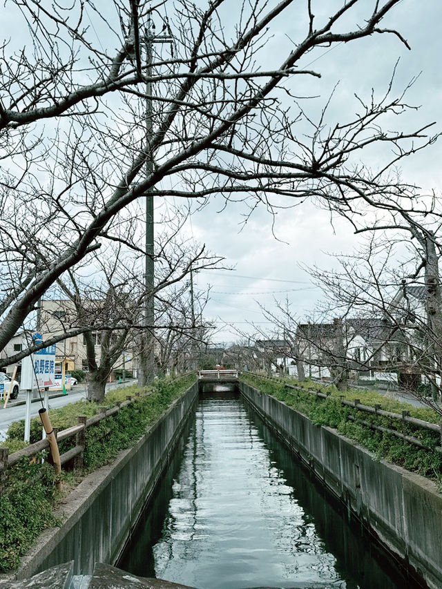 米子｜境港｜駅前公園｜拍照打卡好去處