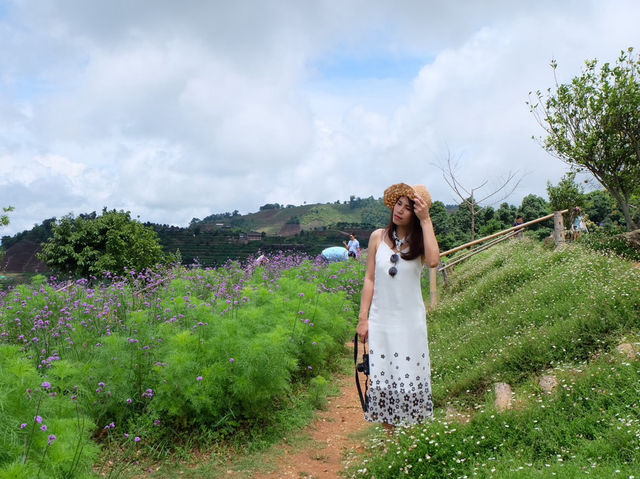 ม่อนแจ่มหน้าฝน มันแจ่มมาก 🌳💦
