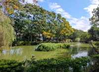 #桃園市客家文化館-桃園市龍潭區