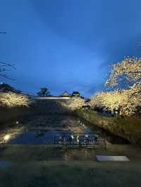 Fukuoka Castle Ruins day & night views