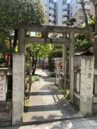 【東京都🇯🇵 笠間稲荷神社 東京別社】長寿の神様へお参りに☺️