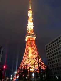 【春の夜の東京港区芝地区　田町-増上寺-東京タワー,芝公園-聖オルバン教会-麻布台、神谷町までシティウォーク。】 