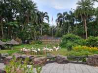 Khao Kheow Open Zoo 