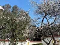 A Serene Retreat: Zhicheng Park 