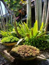 Pulai Springs Resort, Johor Bahru (Resort Hotel)