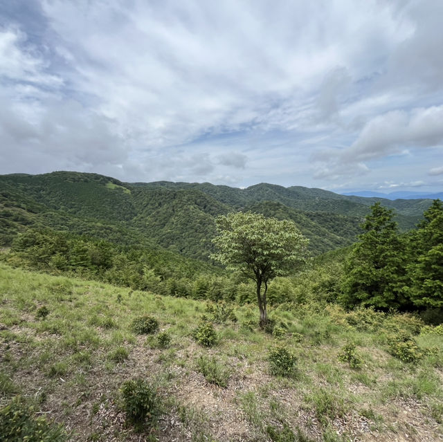 🌲【木梶山】⛰️ まつさかイレブン
