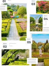 A Nordic Escape in Yangpyeong 