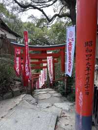 福岡🌸天開稻荷神社⛩️伴櫻花