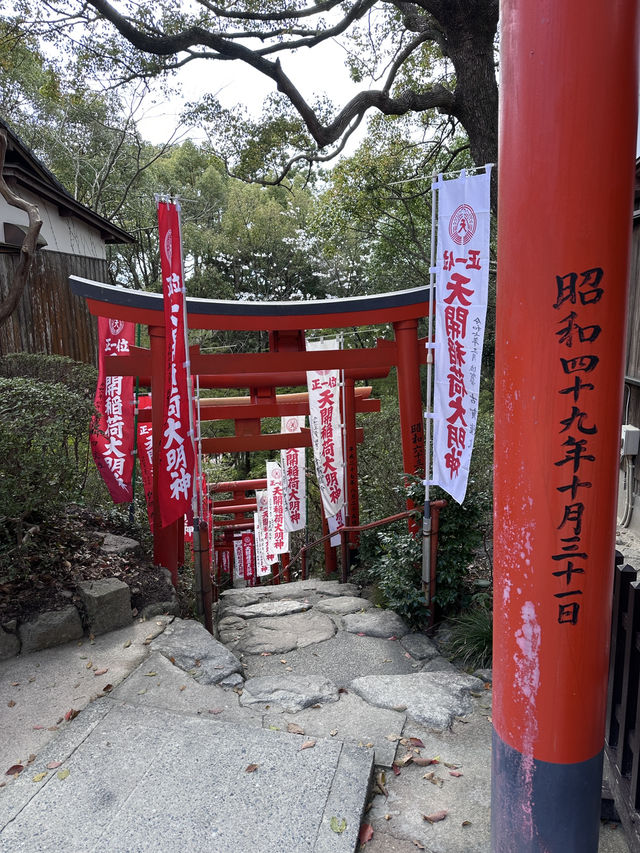 福岡🌸天開稻荷神社⛩️伴櫻花