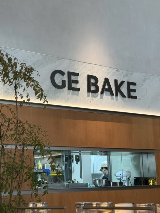 深圳美食｜簡約餐廳🍴