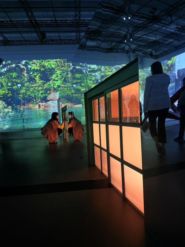 新北市｜新北市立美術館開幕 四大展六月底前免費入場