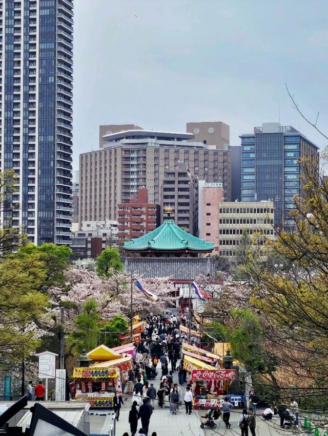 👟동네한바퀴, 우에노 도보 여행 코스!