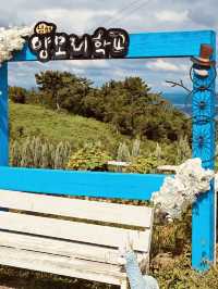Namhae Yangtte Ranch Yangmori School: A Pastoral Sheep Encounter 