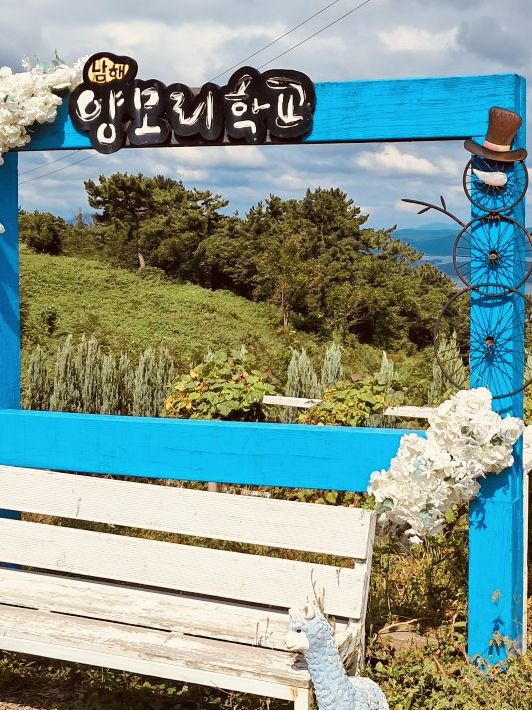 Namhae Yangtte Ranch Yangmori School: A Pastoral Sheep Encounter 