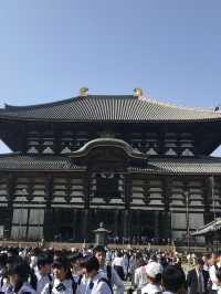 奈良の象徴「東大寺」—世界最大級の大仏と1300年の歴史に触れる旅へ 