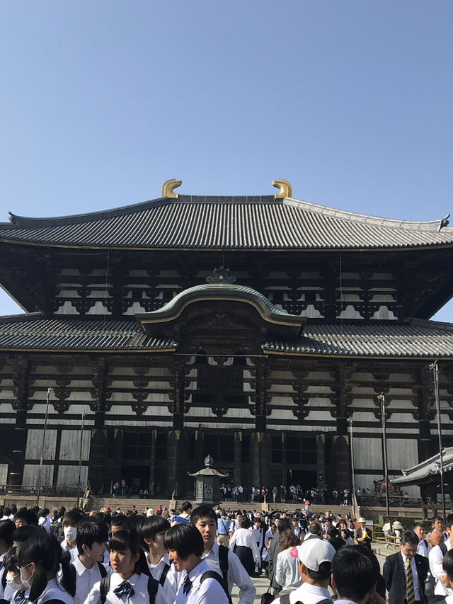 奈良の象徴「東大寺」—世界最大級の大仏と1300年の歴史に触れる旅へ 