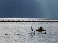 Haidong Wetland Park 