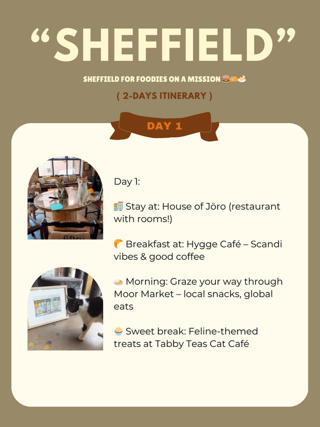 Sheffield for Foodies on a Mission 🍔🌮🍰