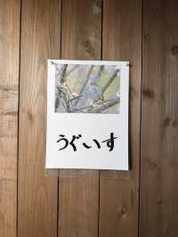 【熊本旅行】秘境の貸し切り温泉♨️2部屋だけ素泊まりできる宿